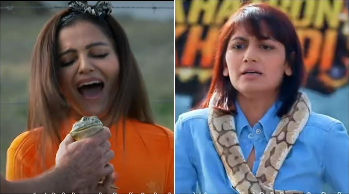 Khatron Ke Khiladi 12 promos: Rubina Dilaik kisses a frog; Sriti Jha walks  on a tightrope with a snake wrapped around her neck | Television News - The  Indian Express