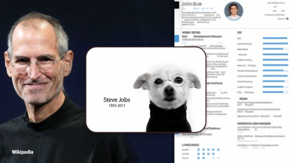 steve jobs, dog dressed as steve jobs, funny resumes, job fail stories, man attach dog pic instead resume, indian express