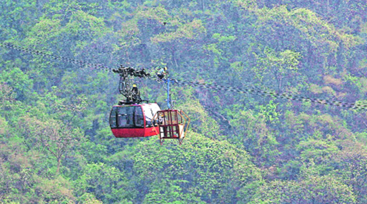 timber trail accident news. parwanoo accident news