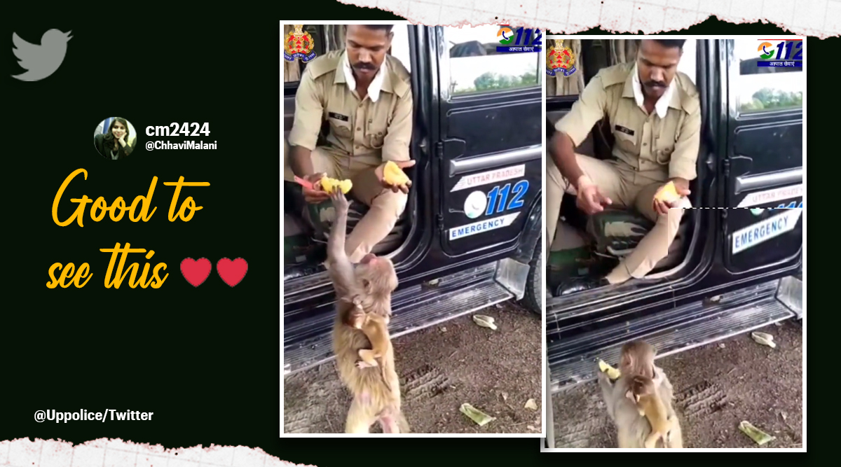 UP police feeds monkey, UP police gives mango to monkey, Uttar Pradesh Police, UP police tweets, Indian Express