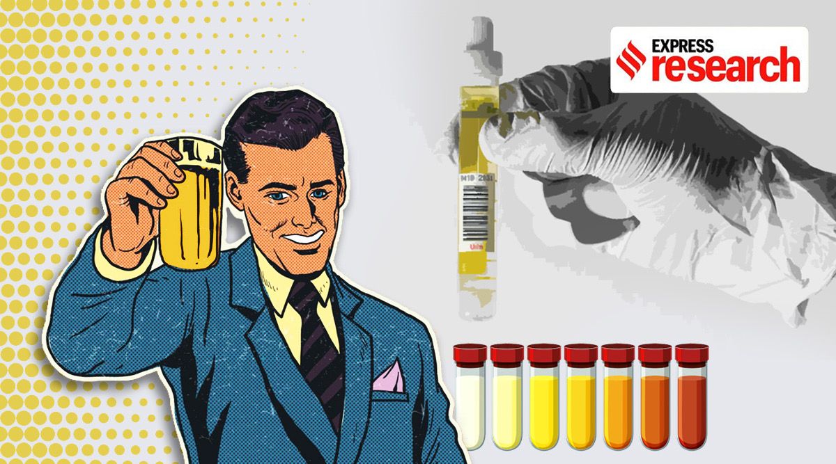 urine therapy, piss, pee, toilet, liquid gold, urea, Morarji desai. morarji desai urine, morarji desai urine therapy, urine therapy history, urine, current affairs, india news, indian express