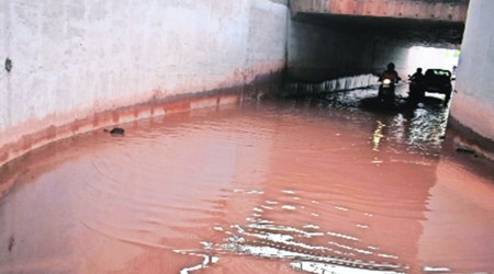 A choked gully in Panchkula. (Express Photo by Sushant Nepta)
