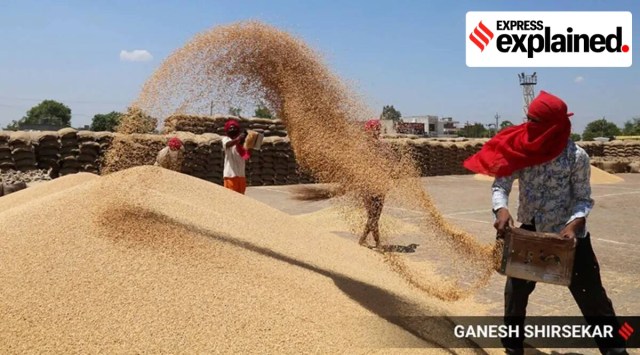India exported 4.71 lakh tonnes (lt) of wheat valued at $136.53 million to the UAE in 2021-22. (File/Representational)