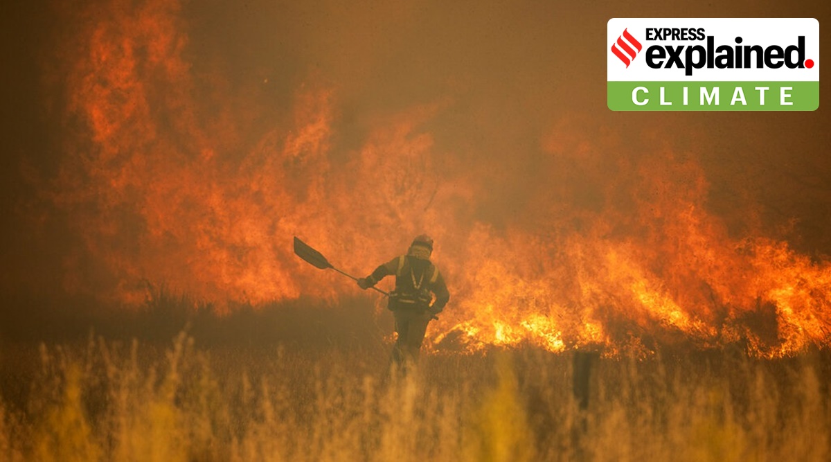 A firefighter works in front of flames during a wildfire in the Sierra de la Culebra in the Zamora Provence of northwestern Spain. (AP)