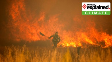 Wildfires raging in Europe: What, where and why?, Explainer News