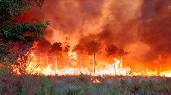 Wildfire near Landiras Southwest France