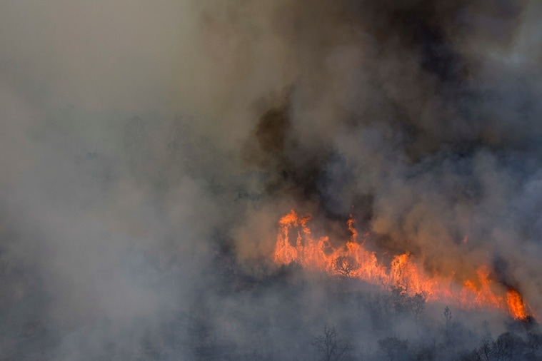 Heatwave scorches Europe; health warnings issued | World News - The ...