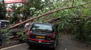 Heavy rains uproot trees in 10 places across Pune, two cars damaged