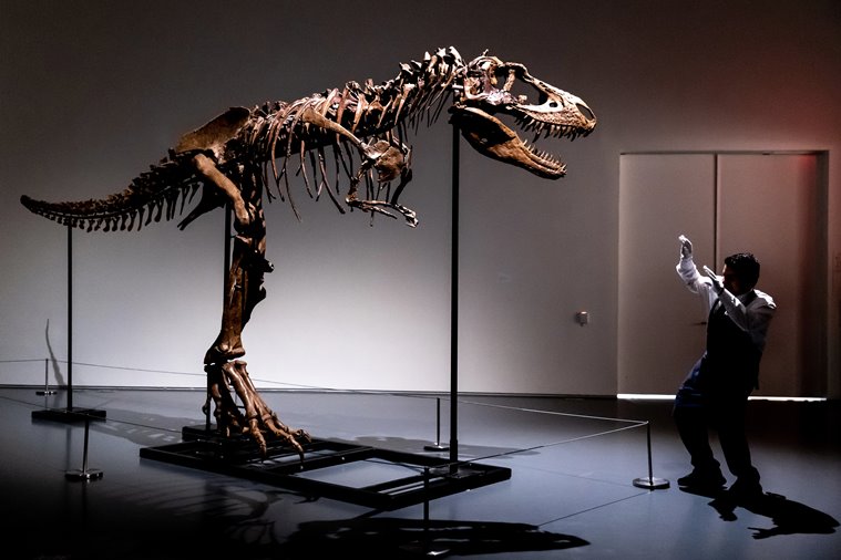 Scheletro di dinosauro, asta di Sotheby's, asta di dinosauro di Sotheby's