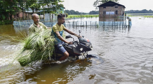 A motorcyclist wades  through a flooded road, in Kamrup district of Assam, Wednesday, June 22, 2022. (PTI Photo) 