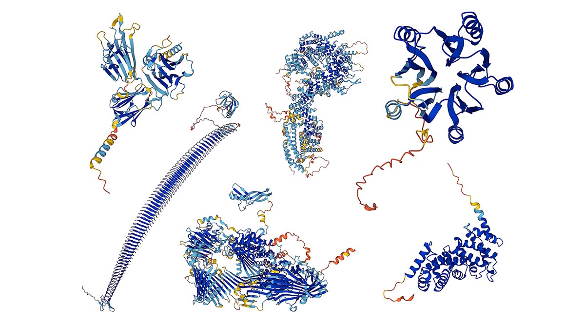 AI predicts the shape of nearly every protein known to science