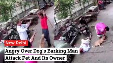 Delhi Man Violently Attacks Neighbours With Iron Rod Over Barking Pet Dog