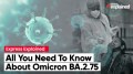 Omicron BA.2.75: The New COVID Subvariant Causing A Spike In Cases