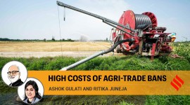 Export ban no alt set