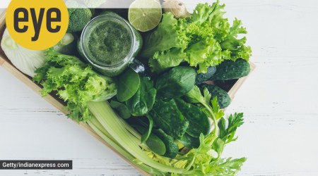 health food movement