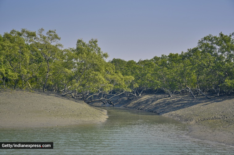 Indian wetlands, wetlands in India, Ramsar sites, Indian Ramsar sites, Ramsar recognition, Ramsar Convention, Ramsar sites in India, wetlands in India, indian express news