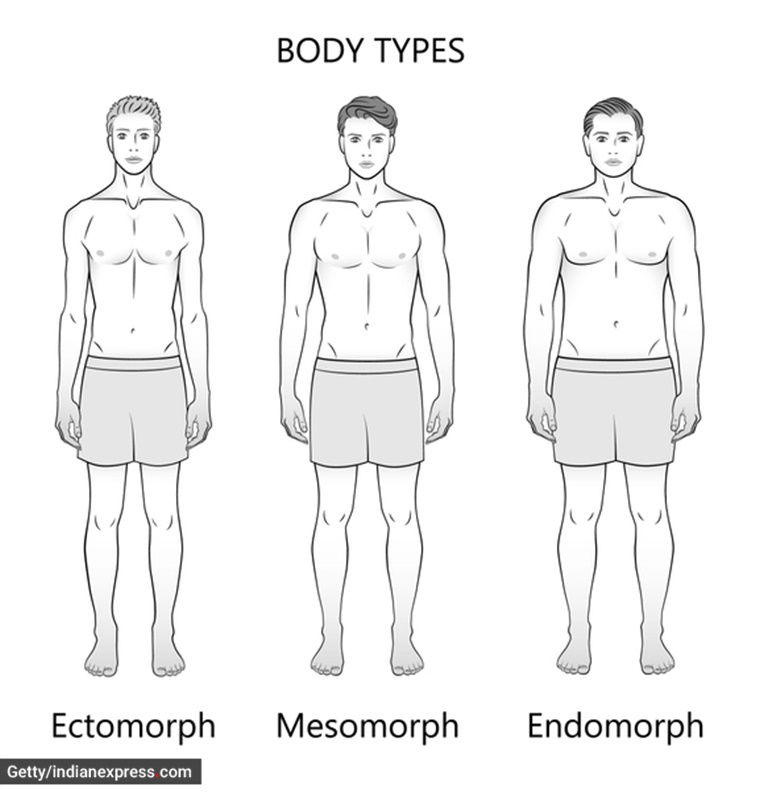 What are some different body types?