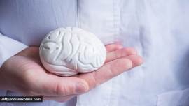 brain health, how to keep the brain healthy, healthy brain, World Brain Day, preserve brain health, indian express news