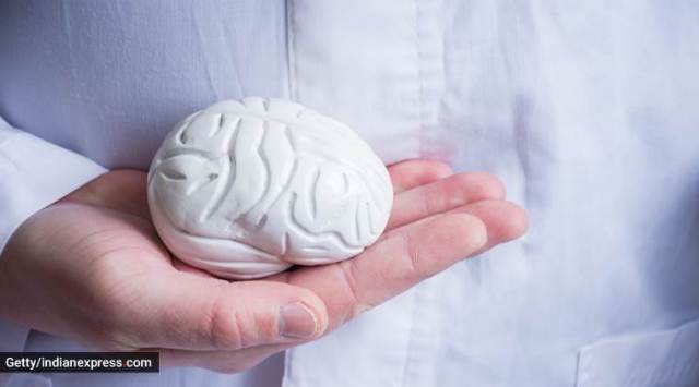 brain health, how to keep the brain healthy, healthy brain, World Brain Day, preserve brain health, indian express news