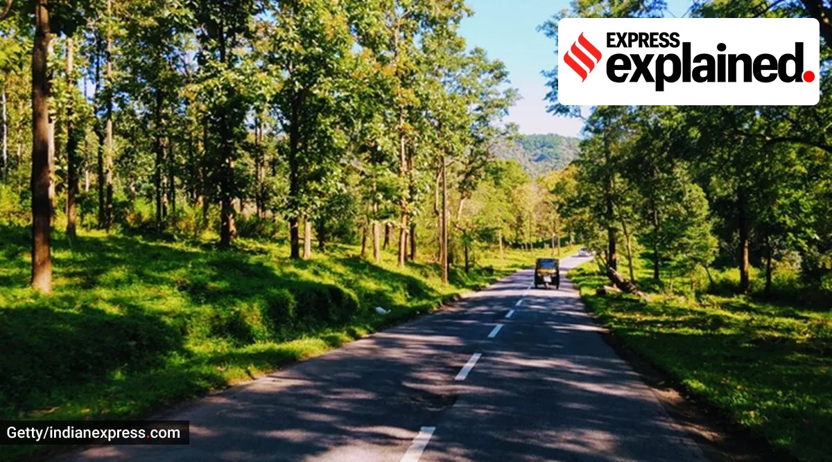 The court said the guidelines issued by the central government on 9 February, 2011, which have either banned or regulated a bunch of activities within the ESZ, should be strictly adhered to. (File)