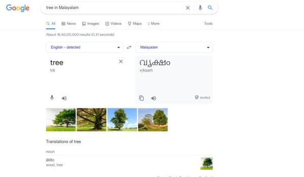 Screenshot showing how google translate can be used from within google