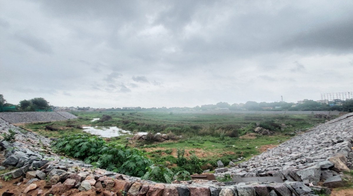 RK Puram lake was spread over 150 acres a few decades ago and now it has shrunk to around 40 acres.  (Express photo by Rahul Pisharody)
