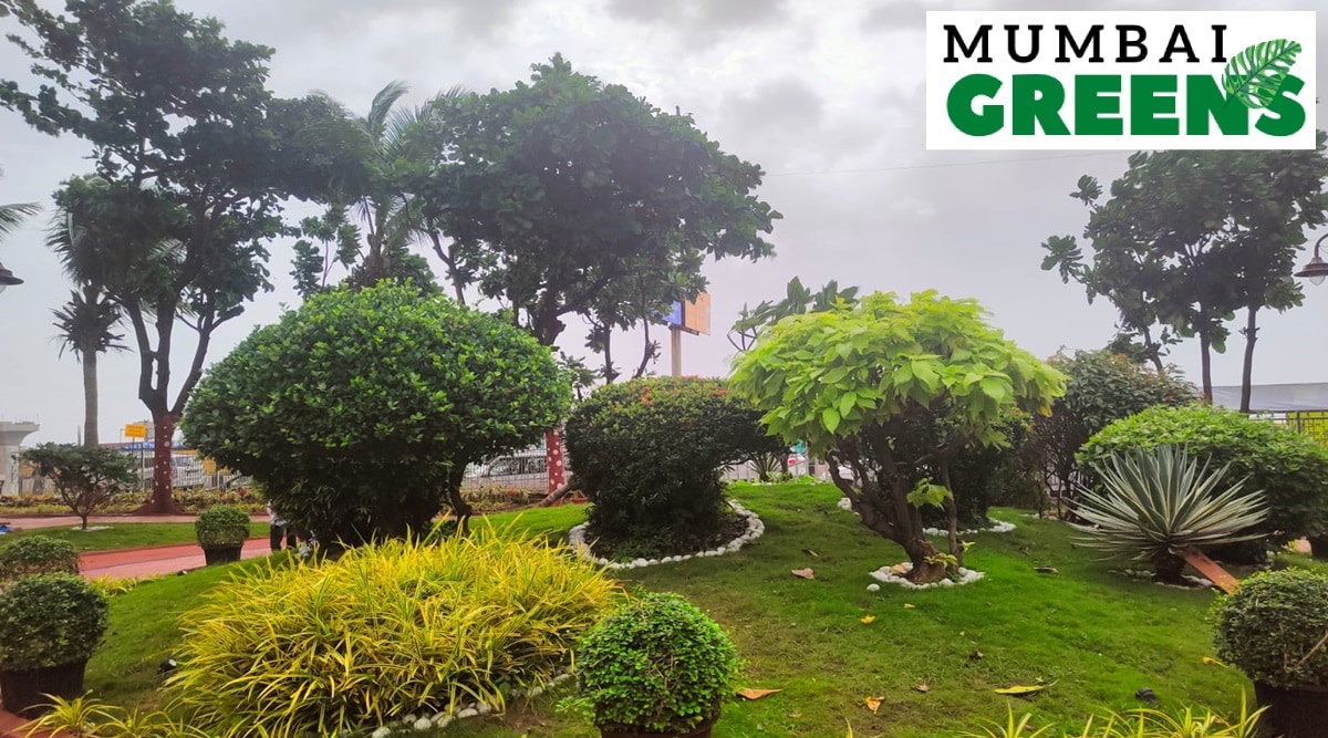 green mumbai