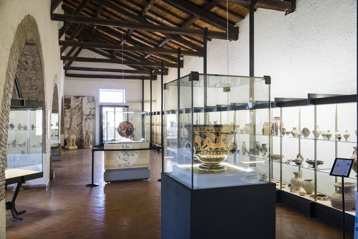 यूफ्रोनियस क्रेटर, केंद्र, सेर्वेटेरी, इटली में एक पुरातात्विक संग्रहालय में है, जो 14 जुलाई, 2022 को अपनी वर्तमान प्रदर्शनी बंद होने के बाद, रोम में म्यूजियो डेल-आर्टे साल्वाटा, या म्यूजियम ऑफ रेस्क्यूड आर्ट से कलाकृतियां प्राप्त करेगा। (गियानी सिप्रियानो / द न्यू यॉर्क टाइम्स)