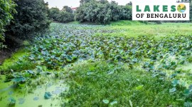 Lakes of Bengaluru (3) no alt set