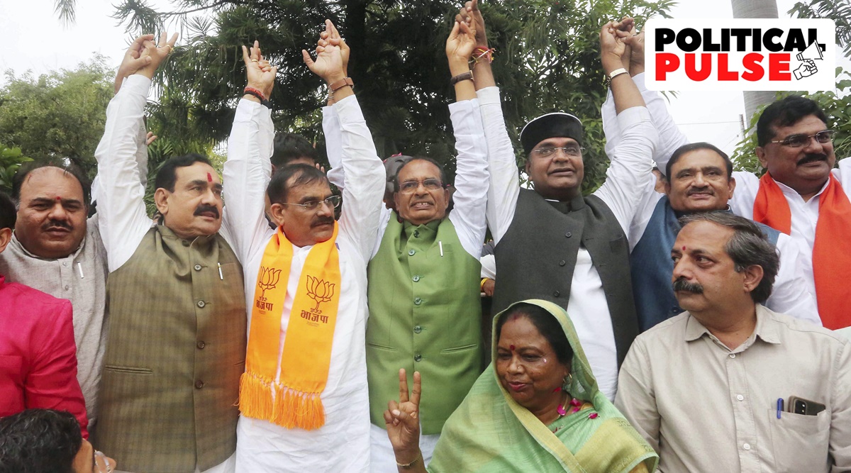 In Madhya Pradesh, BJP's Muslim councillors down by 22 per cent; tally ni...