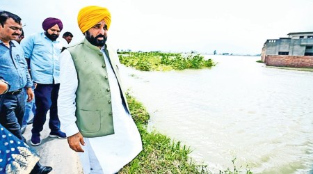 Mann asked the officers to immediately disburse the compensation to the affected farmers. Also, the CM asked them to ensure that 'girdawari' for assessing the loss incurred by the farmers is conducted without any delay.
