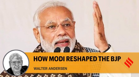 Walter Andersen writes: How Narendra Modi reshaped the BJP