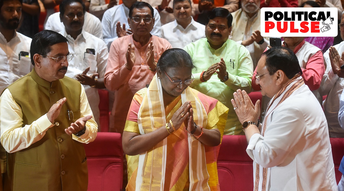 NDA's Presidential candidate Droupadi Murmu being greeted by BJP National President JP Nadda during the NDA meeting at the Parliament building, on the eve of presidential election, in New Delhi. (PTI)