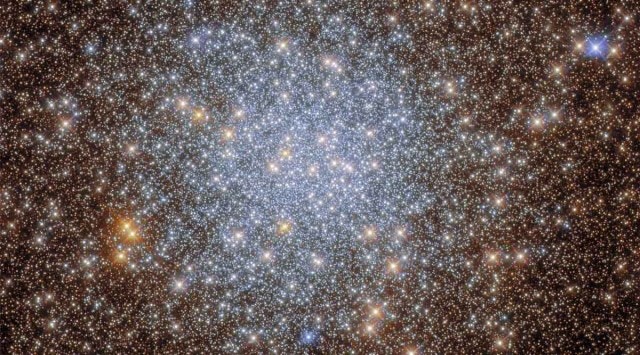 This new image comes from an investigation of globular clusters which lie close to the centre of our Milky Way galaxy. (Image credit: ESA/Hubble & NASA, R. Cohen) 