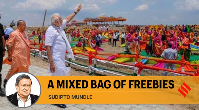The freebies issue made headlines following the Prime Minister’s recent speech calling for an end to 'revdi' culture. (Photo: PTI)