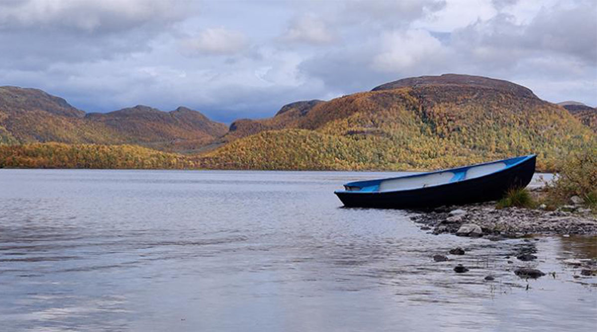 Research finds bacteria can remove plastic pollution from lakes