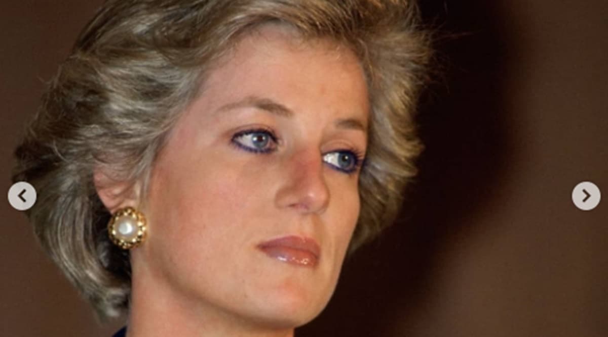Princess Diana sat for 35 hours over the course of 30 sittings for this  'rare' portrait | Art-and-culture News - The Indian Express