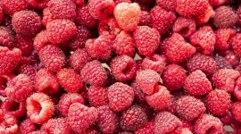 Raspberries