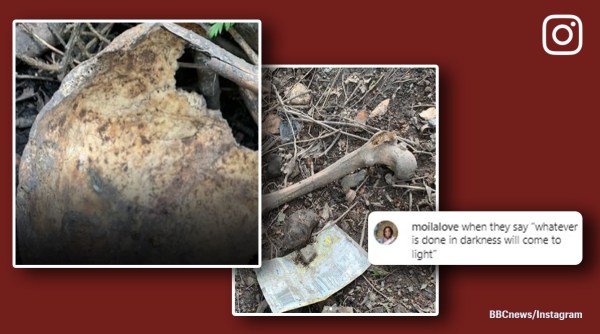 human skulls and bones in garden, woman finds skulls and bones in garden, badgers, UK, crime, indian express