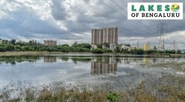 Seegehalli lake 1 no alt set