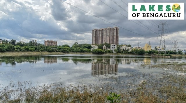 Seegehalli lake. (Express photo by Jithendra M.)