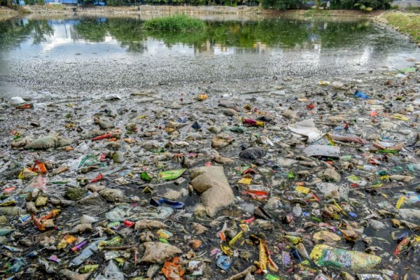 Lakes of Bengaluru: Snail-paced restoration work of Seegehalli Lake a ...