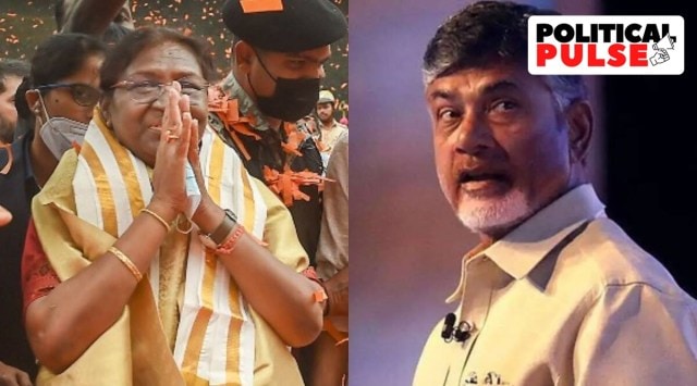 NDA presidential nominee Droupadi Murmu (L), TDP chief N Chandrababu Naidu. (PTI/Express File Photo)