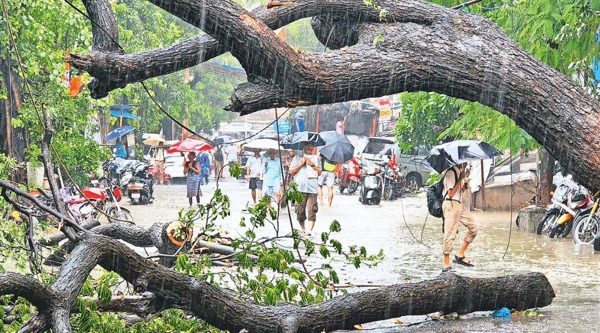 Mumbai rains, Mumbai Monsoons, Mumbai news, Mumbai city news, Mumbai, Maharashtra, Maharashtra government, India news, Indian Express News Service, Express News Service, Express News, Indian Express India News
