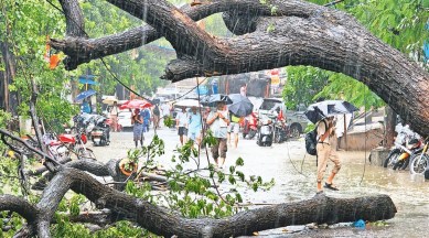 Mumbai rains, Mumbai Monsoons, Mumbai news, Mumbai city news, Mumbai, Maharashtra, Maharashtra government, India news, Indian Express News Service, Express News Service, Express News, Indian Express India News