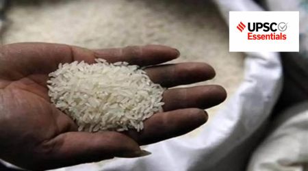 upsc, SRI method, System of Rice Intensification, Rice, DSR technique, upsc essentials, upsc current affairs, one word a day, upsc geography, agriculture, sarkari naukri, government job