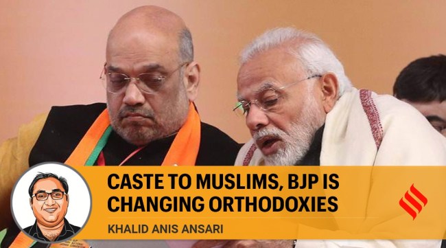 Khalid Anis Ansari writes: In popular perception, the BJP is more socially representative than other political parties today. (Express/File)