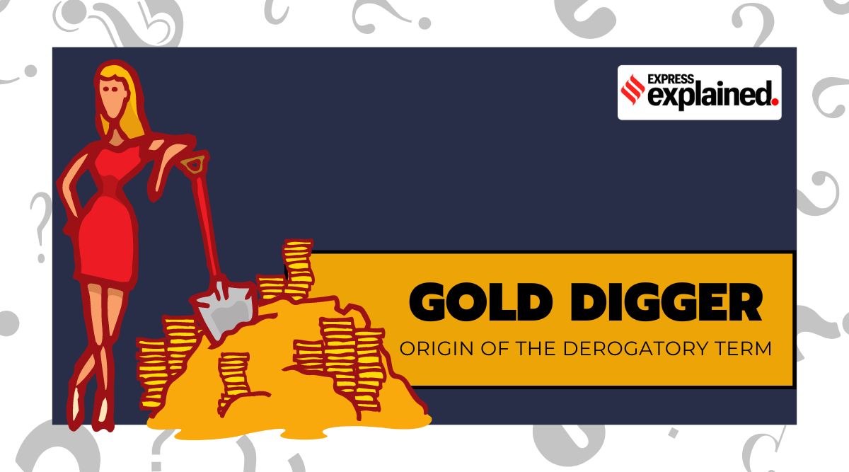 Explained: Who is a gold digger — the derogatory expression used