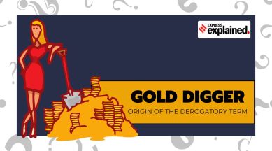 What is the difference between gold digger and coal digger? The  dictionary says gold digger : a