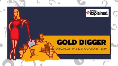 Gold Digger – Legals